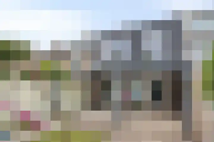 Montfortanenlaan 101 Tilburg thumbnail 21