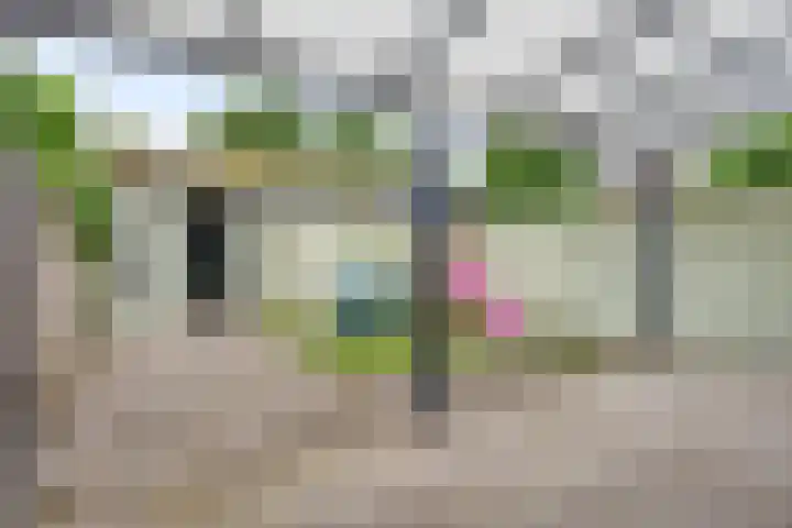 Montfortanenlaan 101 Tilburg thumbnail 24