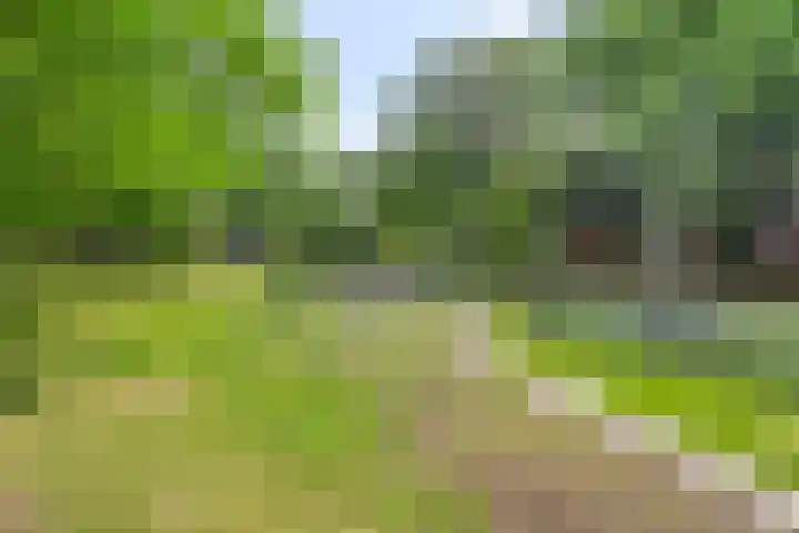 Montfortanenlaan 101 Tilburg thumbnail 29