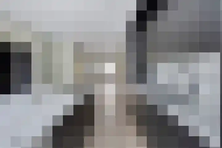 Montfortanenlaan 101 Tilburg thumbnail 4