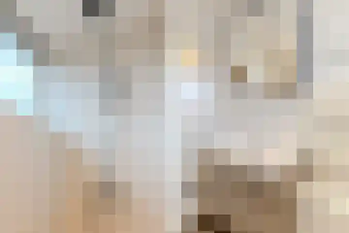 Montfortanenlaan 102 Tilburg thumbnail 22