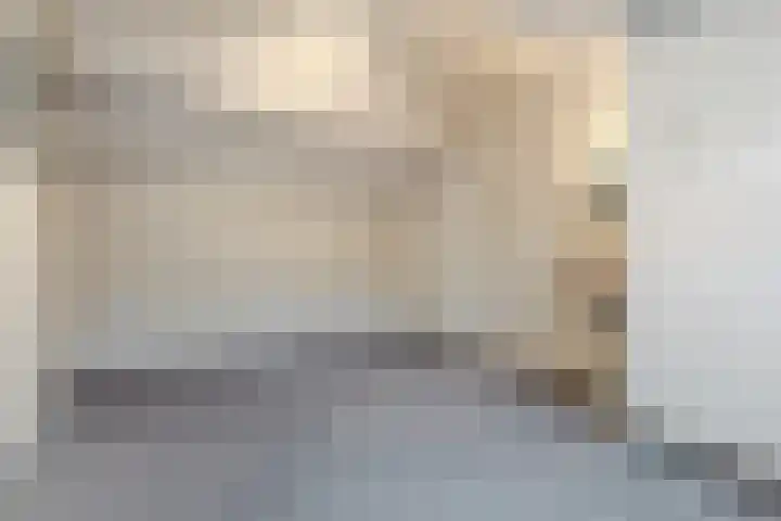 Montfortanenlaan 102 Tilburg thumbnail 27