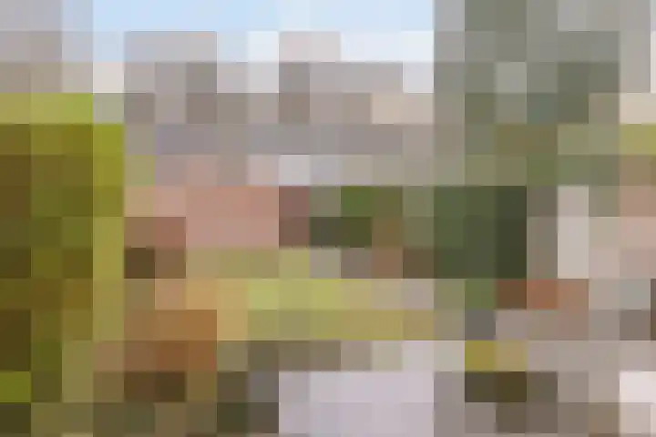 Montfortanenlaan 102 Tilburg thumbnail 29