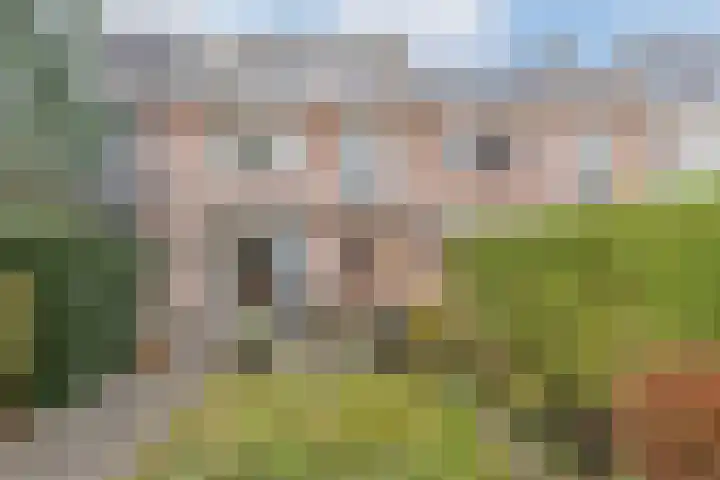 Montfortanenlaan 102 Tilburg thumbnail 32
