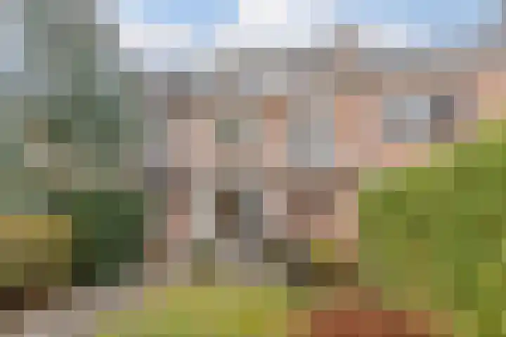 Montfortanenlaan 102 Tilburg thumbnail 33