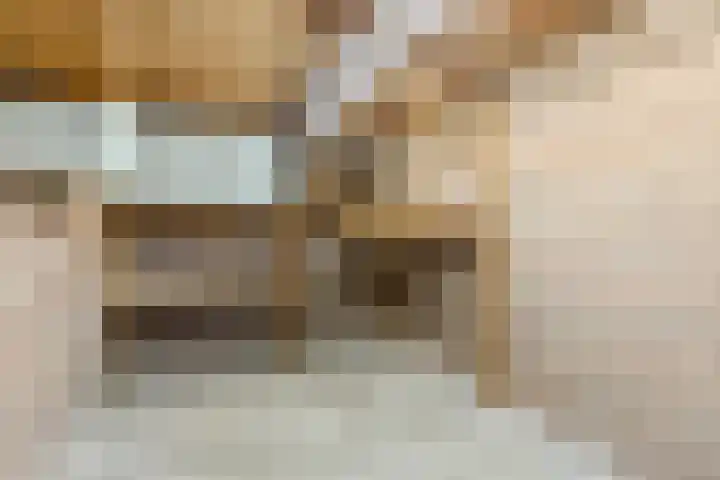Montfortanenlaan 102 Tilburg thumbnail 34