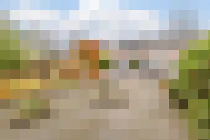 Montfortanenlaan 102 Tilburg thumbnail 37