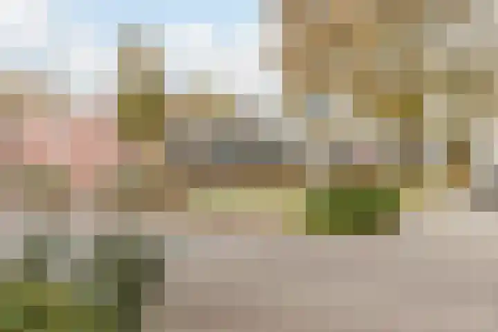 Montfortanenlaan 102 Tilburg thumbnail 38