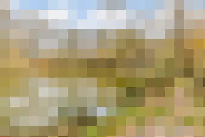 Montfortanenlaan 102 Tilburg thumbnail 39