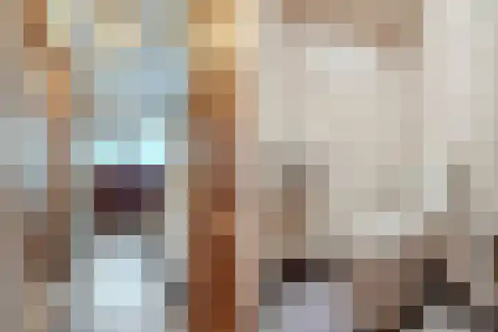 Montfortanenlaan 102 Tilburg thumbnail 5