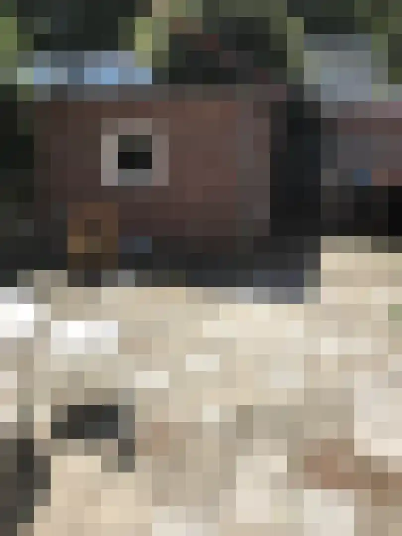 Montfortanenlaan 12 k2 Tilburg thumbnail 6