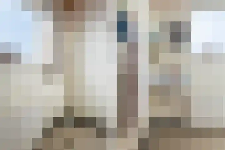 Montfortanenlaan 15 Tilburg thumbnail 14