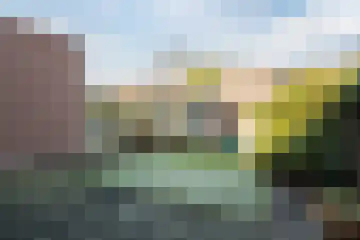 Montfortanenlaan 15 Tilburg thumbnail 20