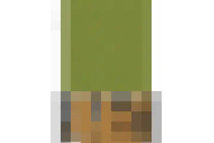 Montfortanenlaan 15 Tilburg thumbnail 30
