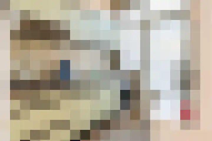 Montfortanenlaan 15 Tilburg thumbnail 6