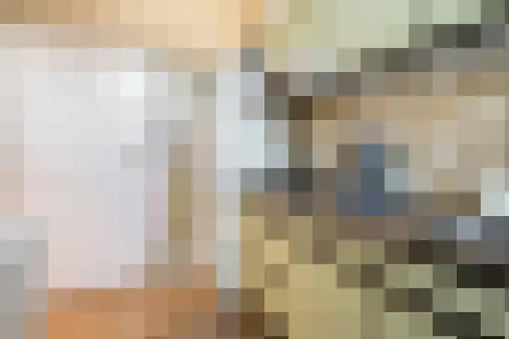 Montfortanenlaan 15 Tilburg thumbnail 7