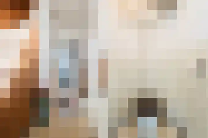 Montfortanenlaan 15 Tilburg thumbnail 8