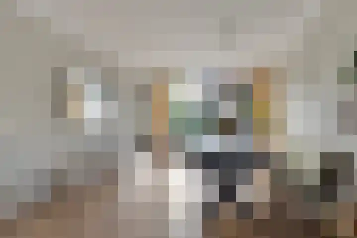 Montfortanenlaan 62 Tilburg thumbnail 16