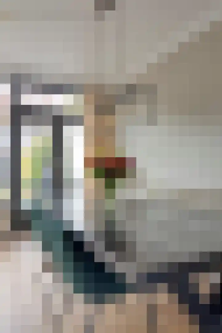 Montfortanenlaan 62 Tilburg thumbnail 18