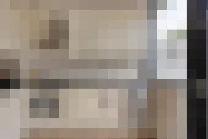 Montfortanenlaan 62 Tilburg thumbnail 22