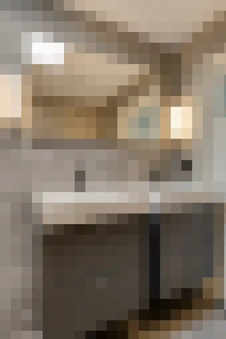 Montfortanenlaan 62 Tilburg thumbnail 30