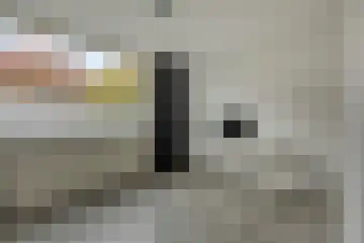 Montfortanenlaan 62 Tilburg thumbnail 34