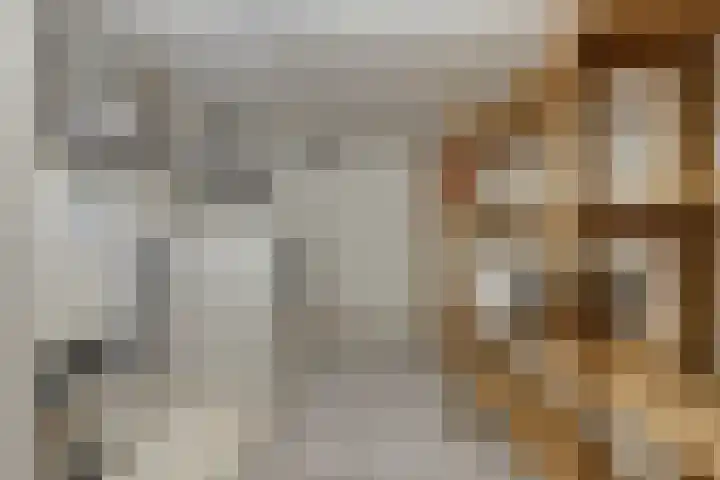 Montfortanenlaan 62 Tilburg thumbnail 37