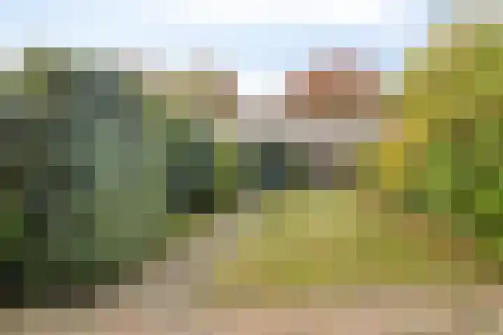 Montfortanenlaan 62 Tilburg thumbnail 39
