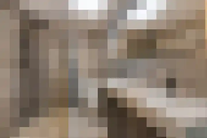 Montfortanenlaan 62 Tilburg thumbnail 4