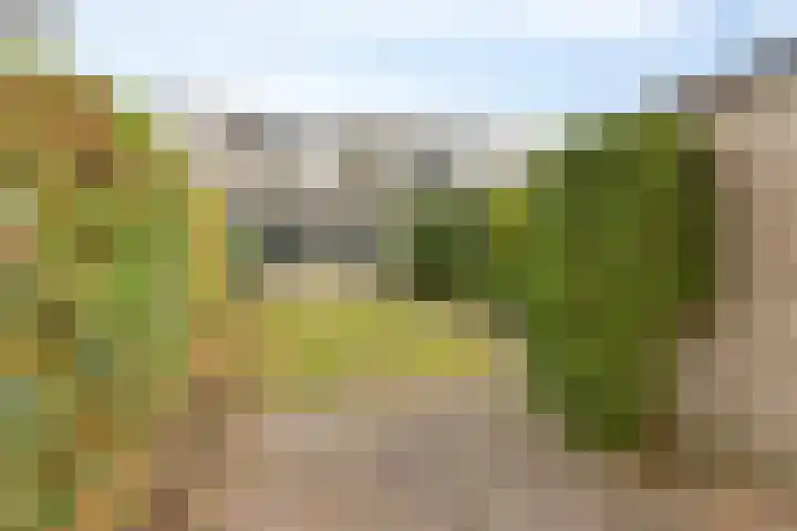 Montfortanenlaan 62 Tilburg thumbnail 41