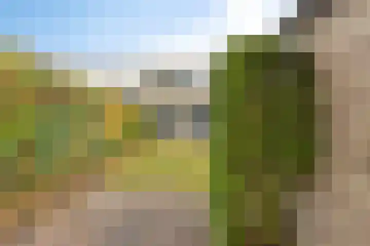 Montfortanenlaan 62 Tilburg thumbnail 42