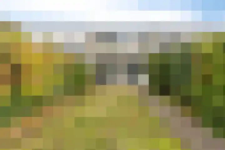 Montfortanenlaan 62 Tilburg thumbnail 43