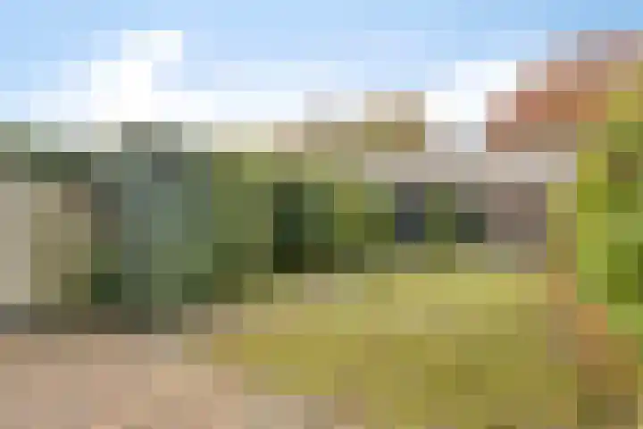 Montfortanenlaan 62 Tilburg thumbnail 5