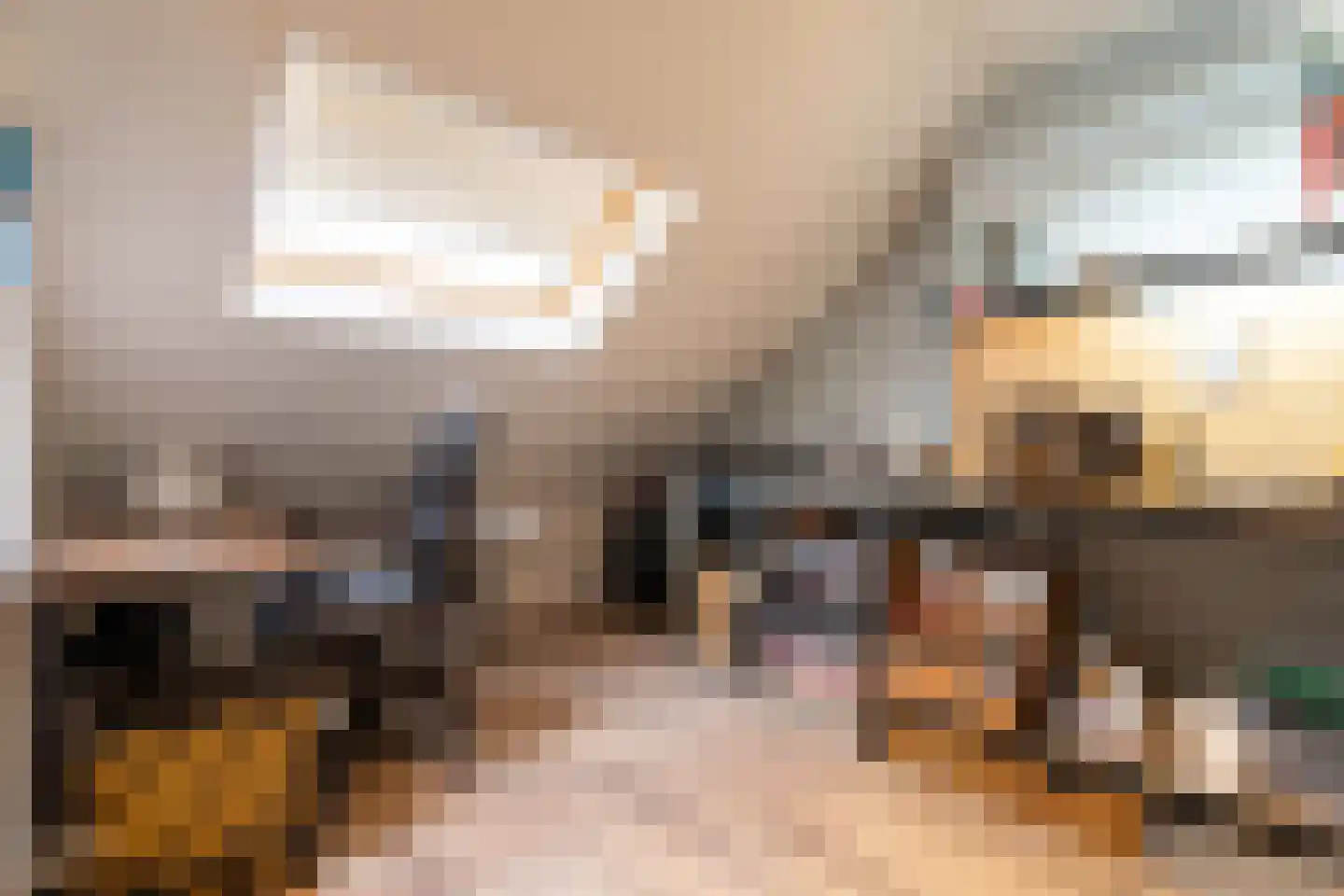 Montfortanenlaan 71 Tilburg thumbnail 20