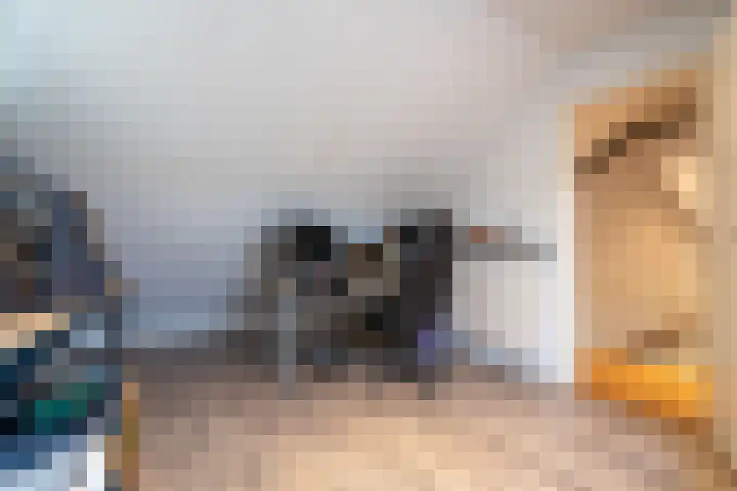 Montfortanenlaan 71 Tilburg thumbnail 21
