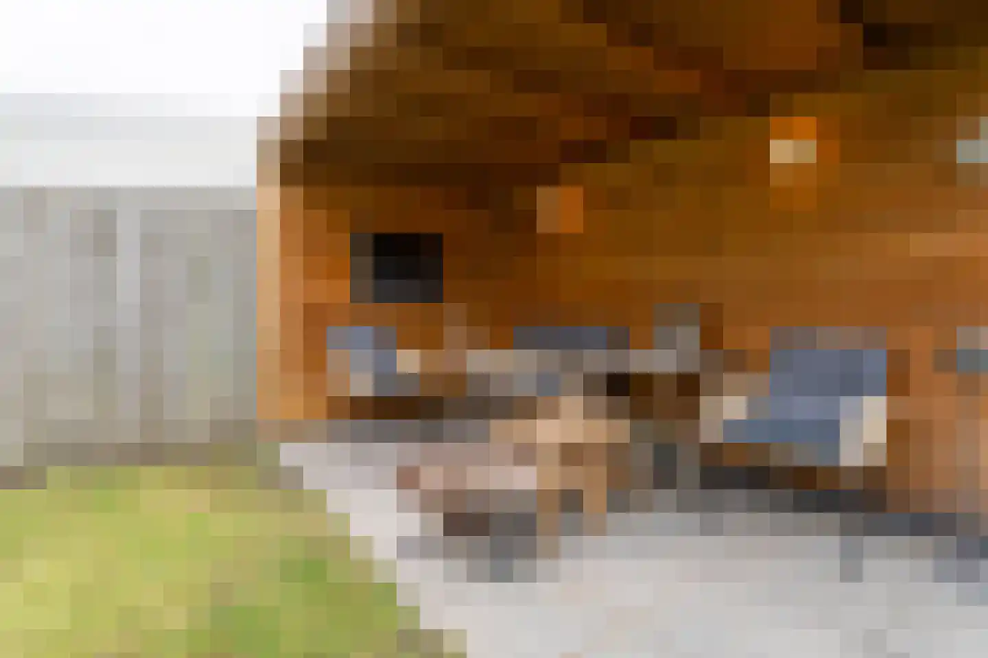 Montfortanenlaan 71 Tilburg thumbnail 23