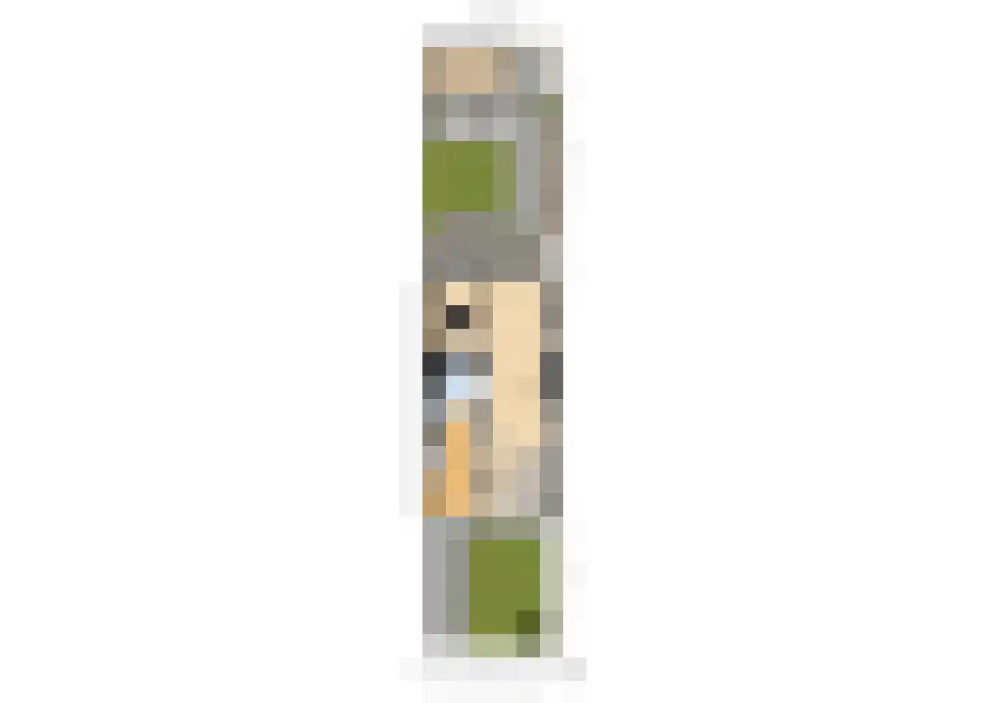 Montfortanenlaan 71 Tilburg thumbnail 31