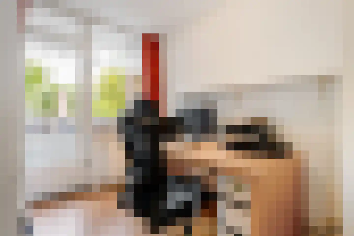 Montfortanenlaan 78 Tilburg thumbnail 18