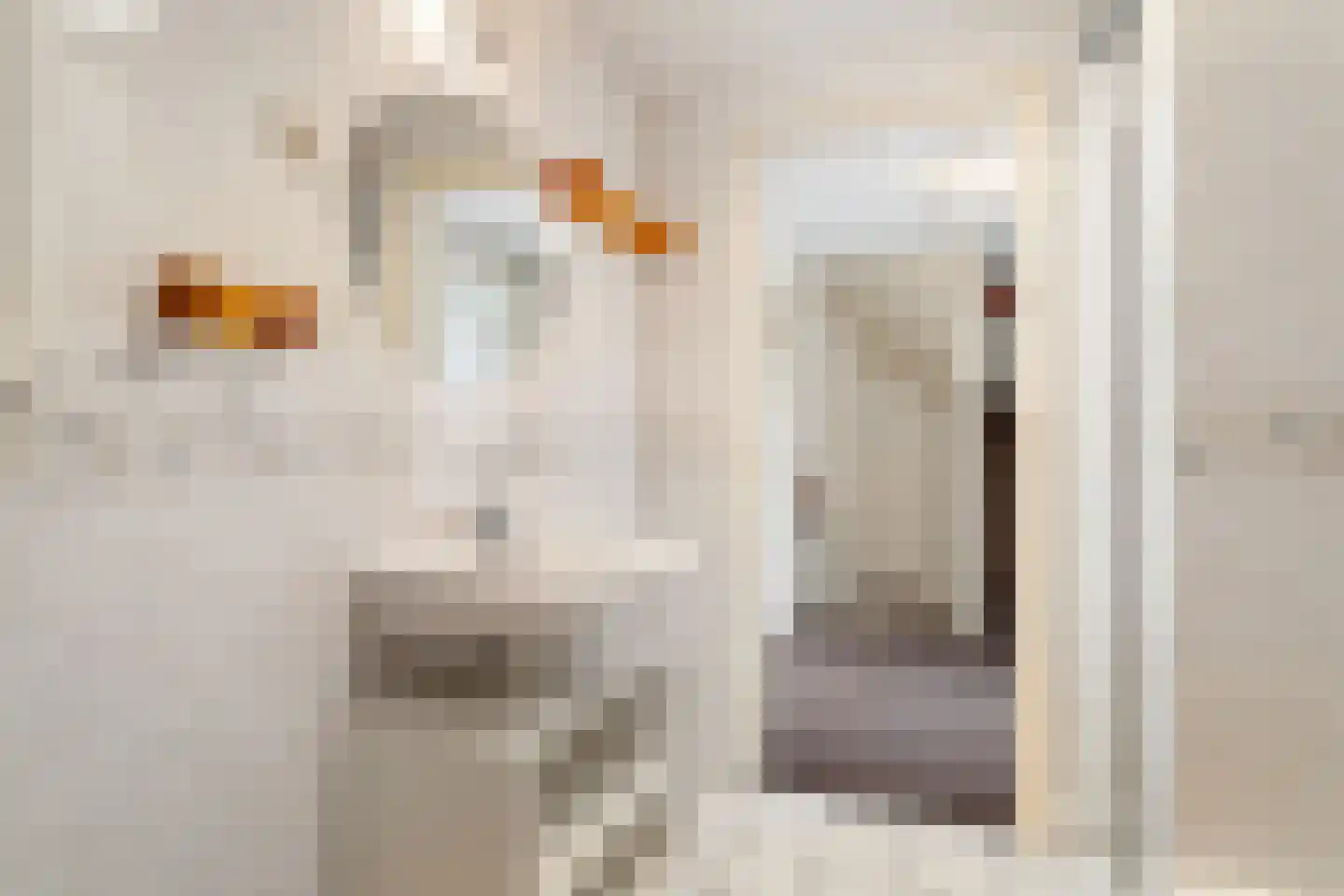 Montfortanenlaan 78 Tilburg thumbnail 23