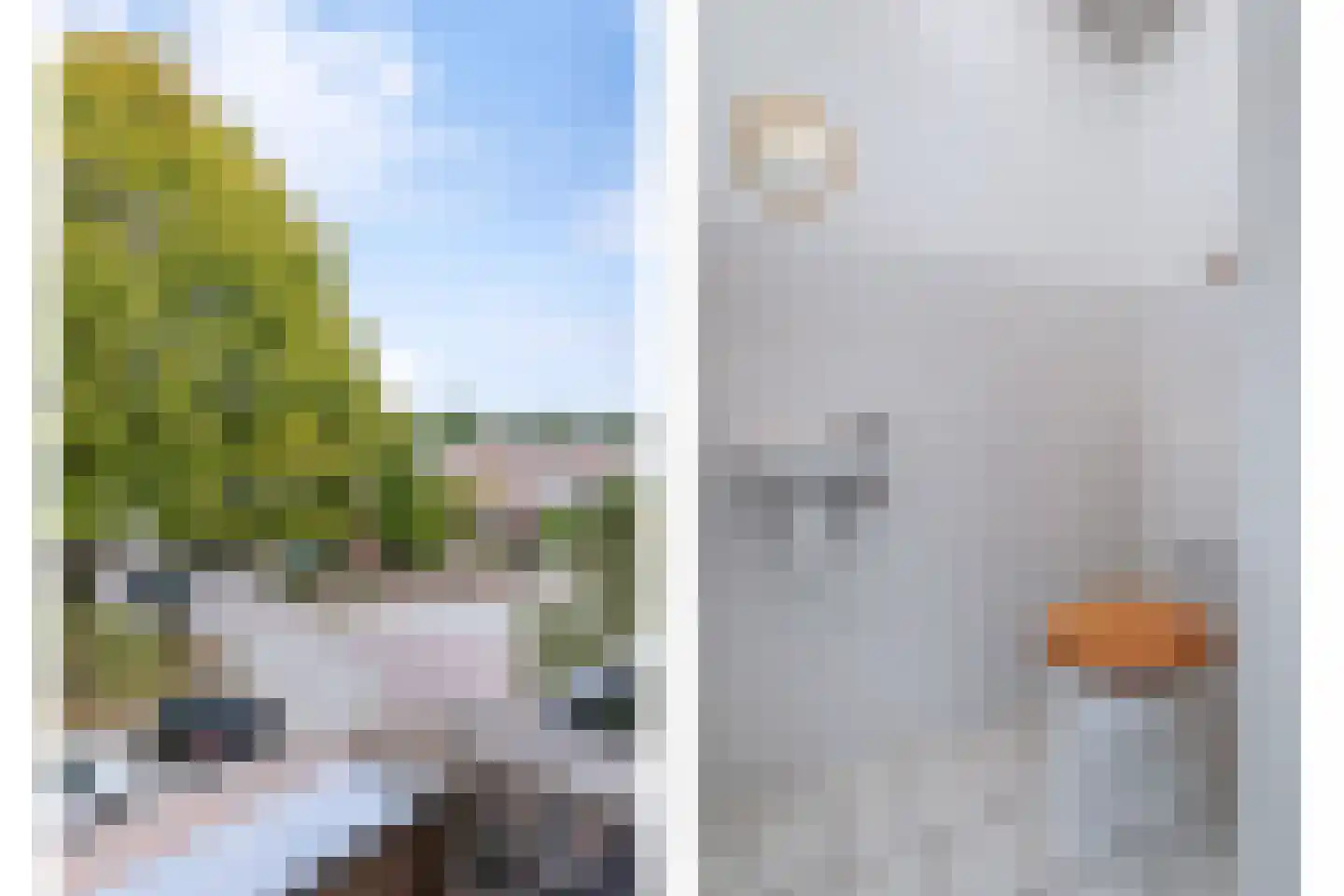 Montfortanenlaan 78 Tilburg thumbnail 26