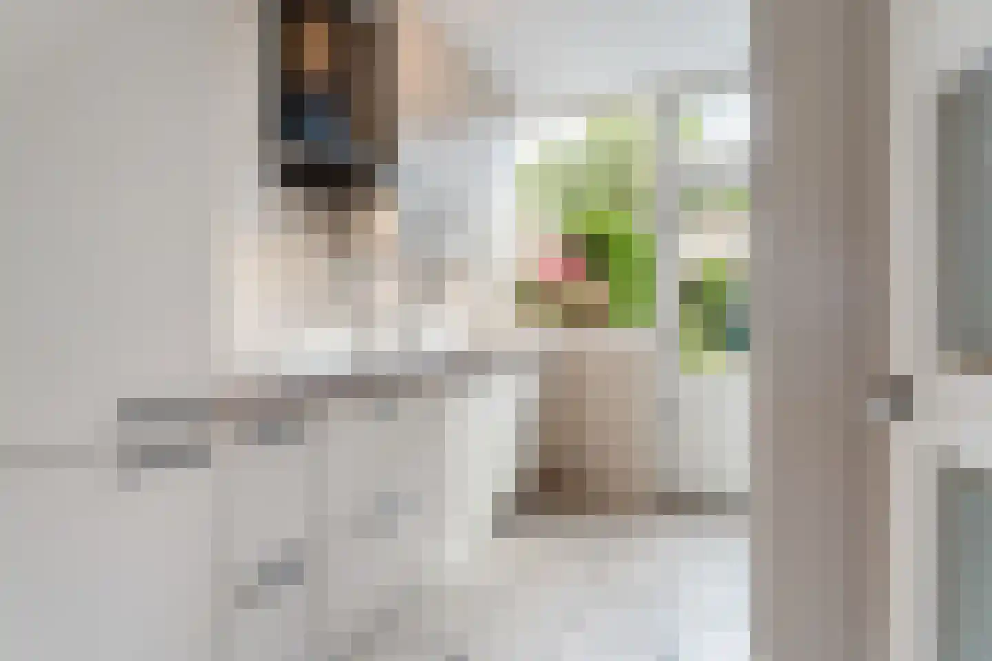 Montfortanenlaan 78 Tilburg thumbnail 6
