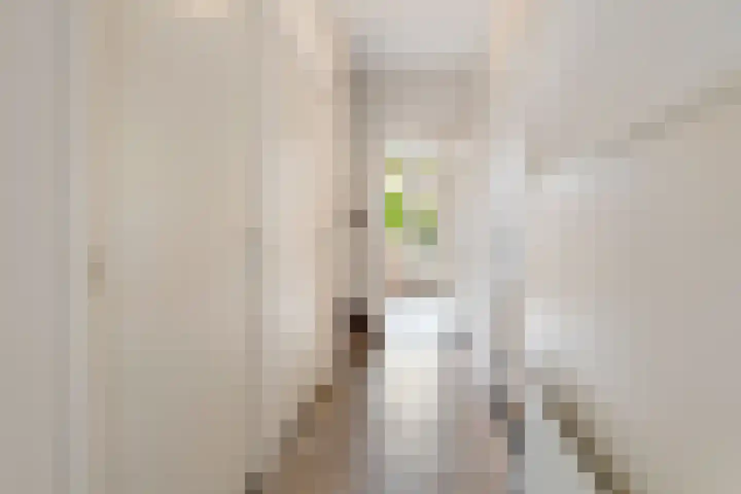 Montfortanenlaan 78 Tilburg thumbnail 9