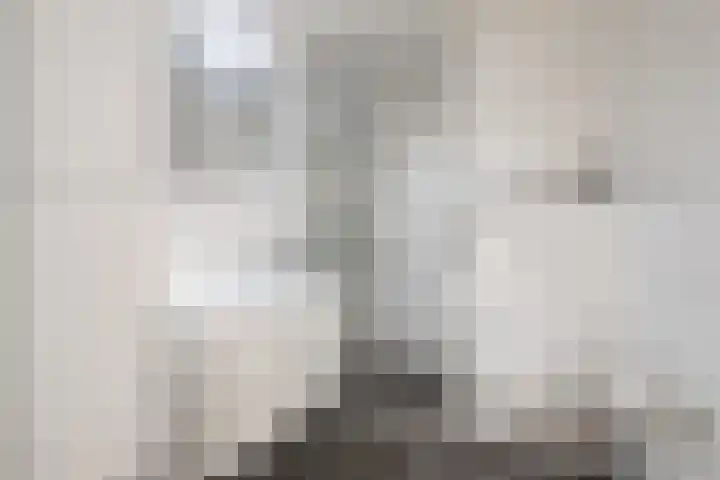 Montfortanenplein 31 Meerssen thumbnail 11