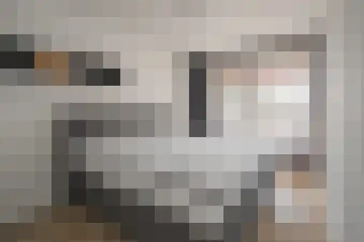 Montfortanenplein 31 Meerssen thumbnail 7