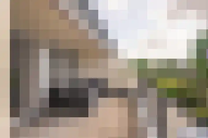 Montfortanenplein 31 Meerssen thumbnail 9