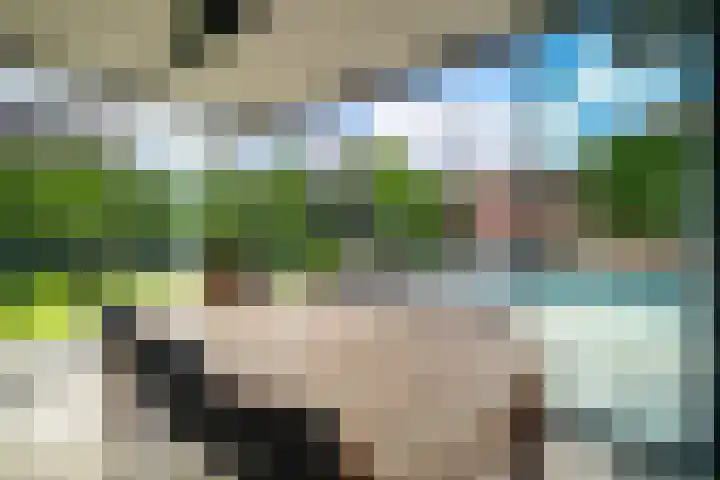 Montforterweg 12 a Linne thumbnail 32