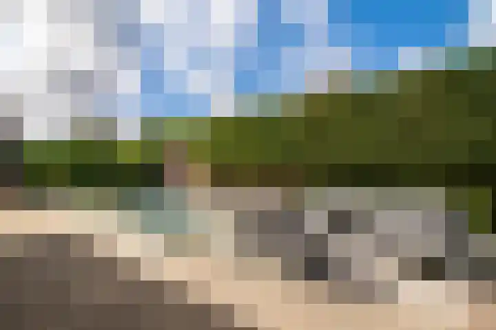 Montforterweg 12 a Linne thumbnail 37