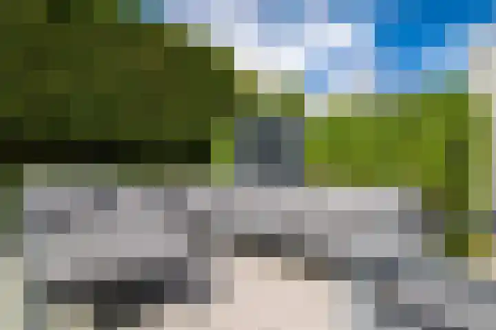 Montforterweg 12 a Linne thumbnail 38