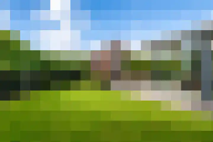 Montforterweg 12 a Linne thumbnail 39