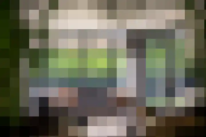 Montforterweg 12 a Linne thumbnail 4